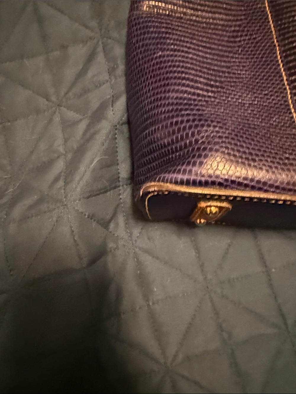 Dooney & Bourke blue Lizard-Embossed Tote with Brown Straps - Picture 12 of 14